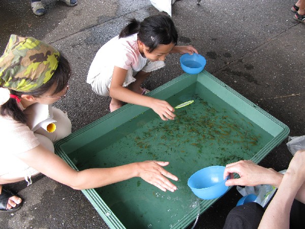 図:お魚ふれあい2