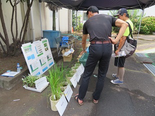 図:水田除草剤の散布2